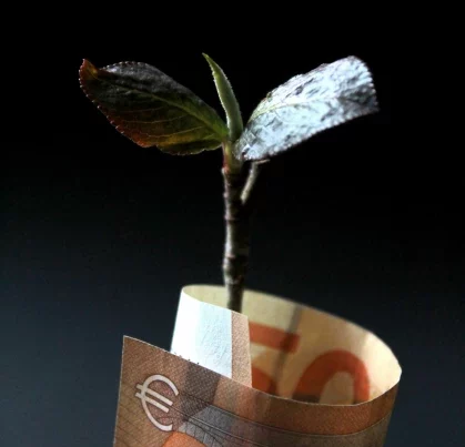 référencement payant