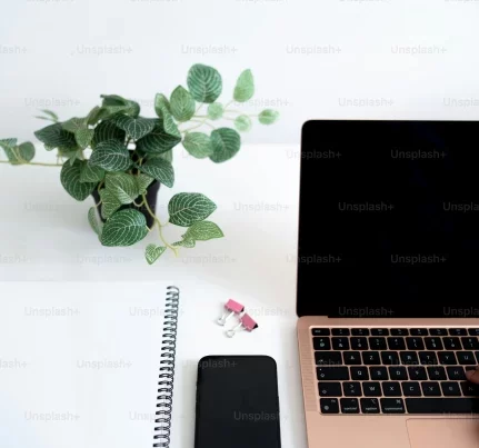 Google my business 2024