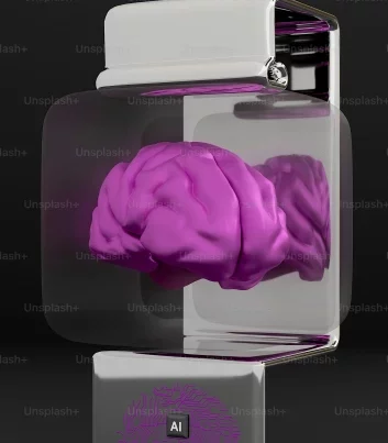 audits de référencement