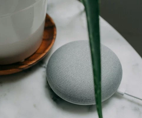 fichier Google my business