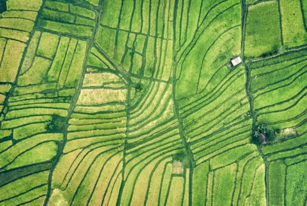 mots-clés compétitifs