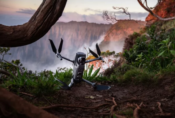 techniques SEO avancées